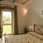 San Francesco 3*