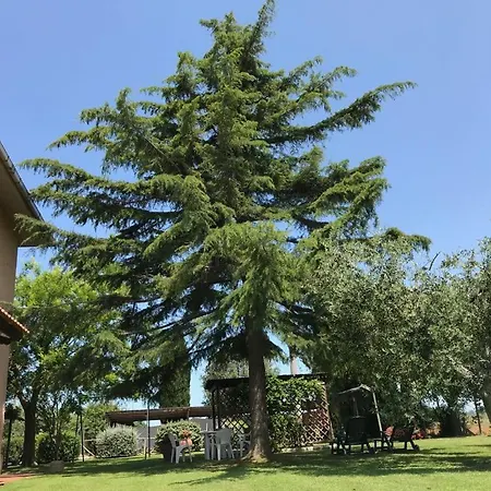 San Francesco Bed and Breakfast Ορμπετέλλο